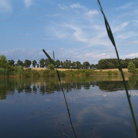 Agriturismo Cavallin Del Bufalo Manciano Ngoại thất bức ảnh