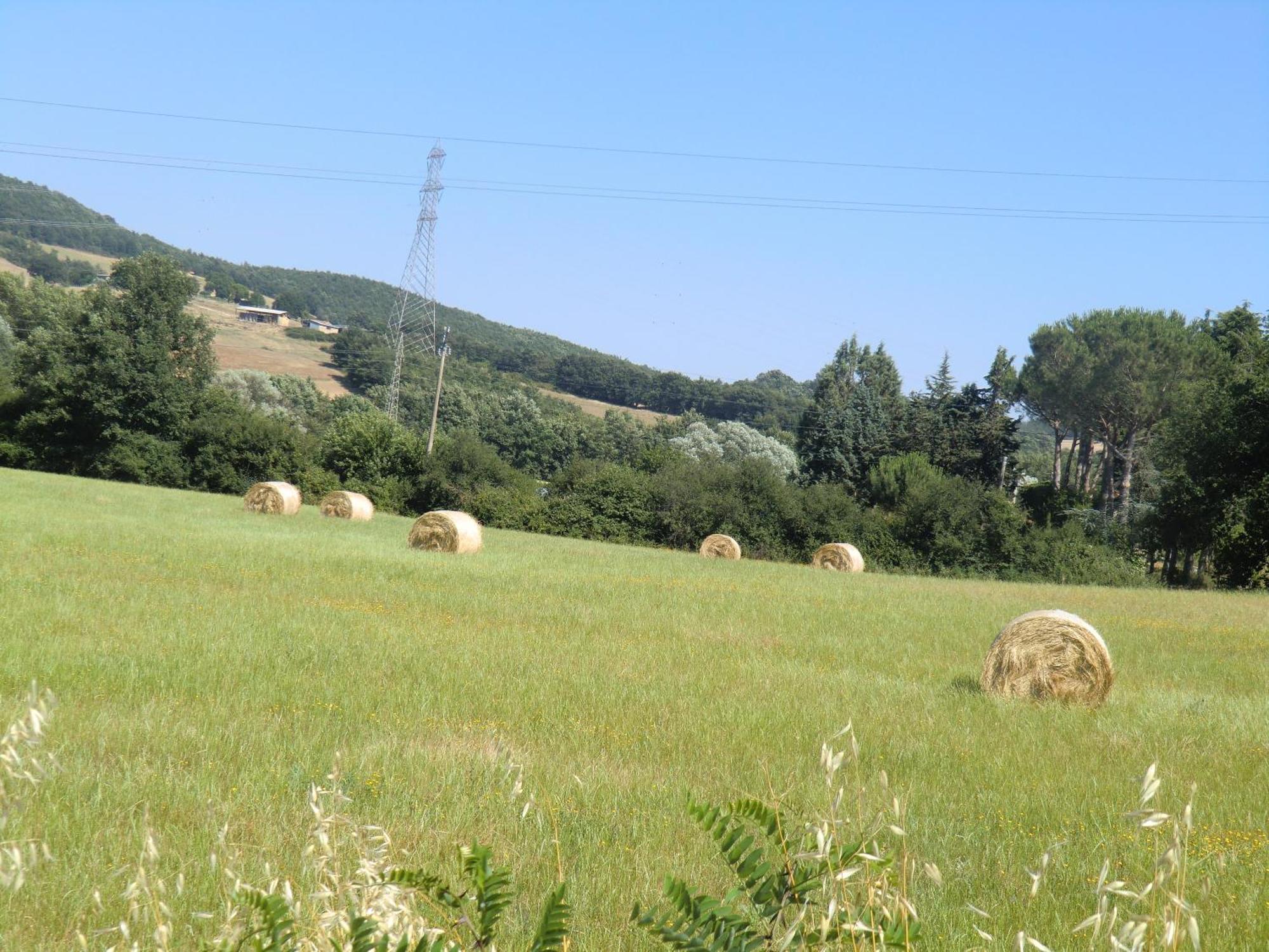 Agriturismo Cavallin Del Bufalo Manciano Ngoại thất bức ảnh